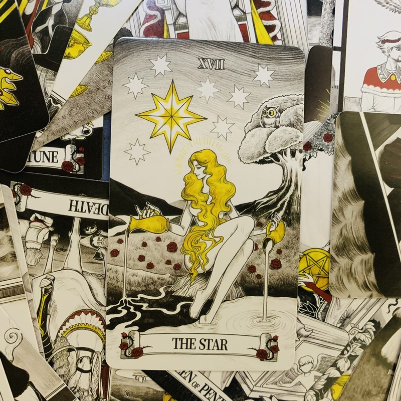 Cartes de tarot miroir secret  - Tarot Cards Deck With Guidebook avis et prix